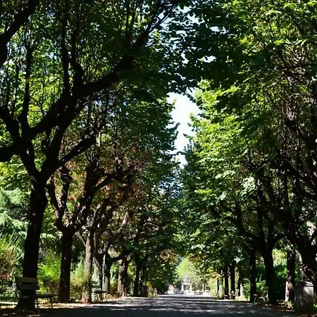 La Dimora Del Viandante - Mandello del Lario